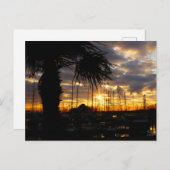 Een palmboom bij haven in Willemstad. Briefkaart (Voorkant / Achterkant)