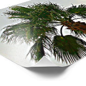 Een palmboomfoto afdrukken foto afdruk (Hoek)