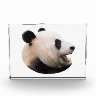 Een panda-beer uitsnijden fotoblokken