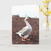 Een parkgans kaart (Gele Bloem)