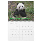 Een Passie voor Pandas!, 2009 Calend... - GEPERSON Kalender (Feb 2027)