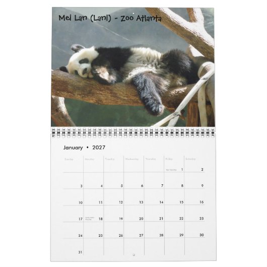 Een Passie voor Pandas!, 2009 Calend... - GEPERSON Kalender (Jan 2027)