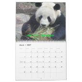 Een Passie voor Pandas!, 2009 Calend... - GEPERSON Kalender (Mar 2027)