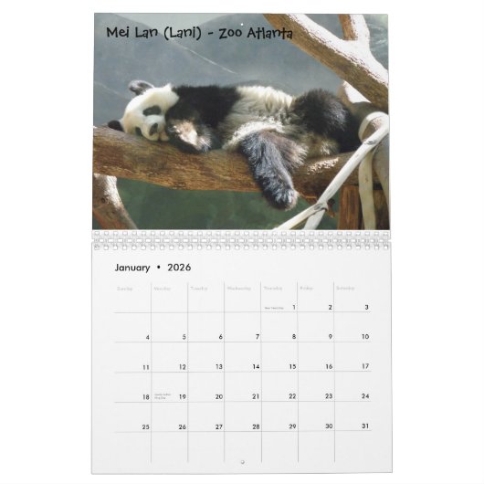 Een Passie voor Pandas!, 2009 Kalender, Pho... Kalender (Jan 2026)