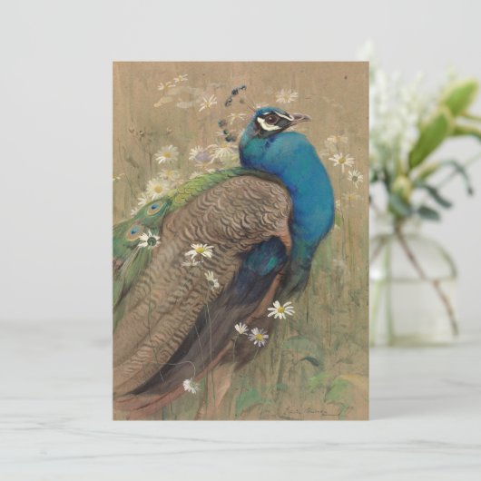 Een pauw en Marguerites | Edwin John Alexander (Staand voorkant)