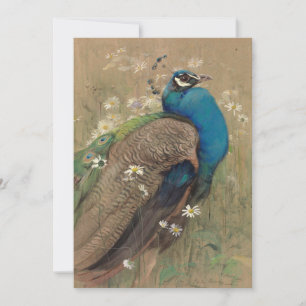 Een pauw en Marguerites   Edwin John Alexander