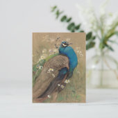 Een pauw en Marguerites | Edwin John Alexander Briefkaart (Staand voorkant)