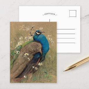 Een pauw en Marguerites   Edwin John Alexander Briefkaart