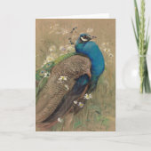 Een pauw en Marguerites | Edwin John Alexander Kaart (Voorkant)