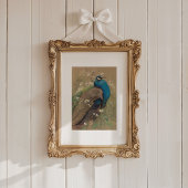 Een pauw en Marguerites | Edwin John Alexander Kaart