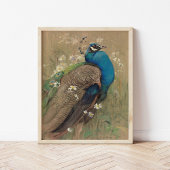 Een pauw en Marguerites | Edwin John Alexander Poster