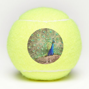 Een pauw tennisballen