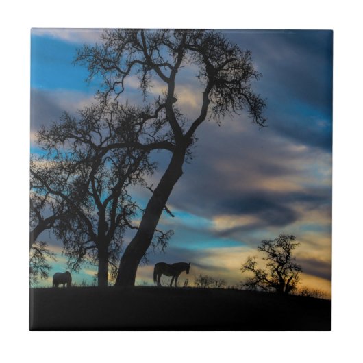 Een pauze in de Storm Horse Art Tegel Tegeltje (Voorkant)