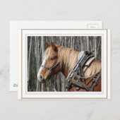 Een pauze innemen briefkaart (Voorkant / Achterkant)