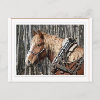 Een pauze innemen briefkaart