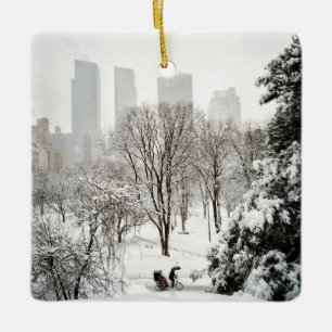 Een peditaxi in het centrale park tijdens de winte keramisch ornament