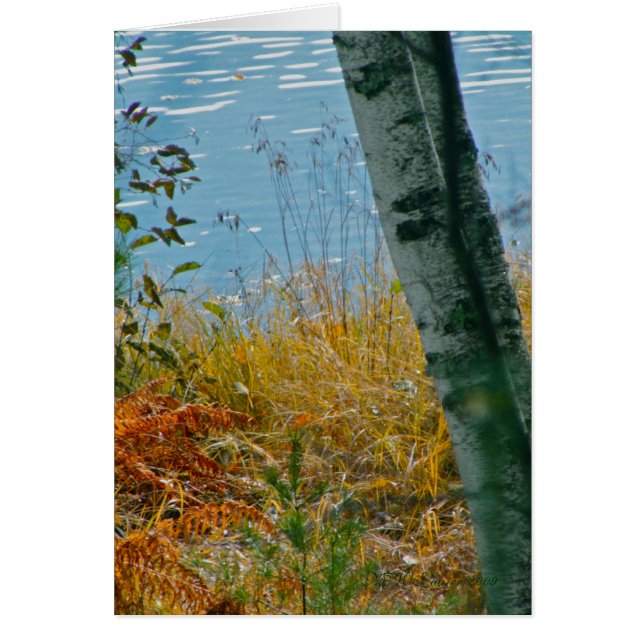 Een penseel met herfst (Voorkant)