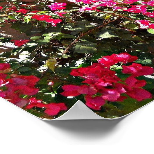 Een perfect Uitzicht Poster (Hoek)