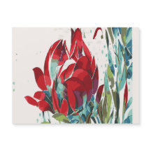 Een perfecte klaproos