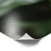 een perfecte roze roze roze bloem en foto - kunst  foto afdruk (Hoek)