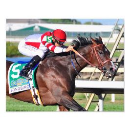 Een perfecte Song Foto Afdruk