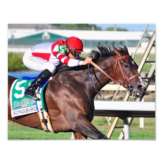 Een perfecte Song Foto Afdruk (Voorkant)