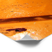 Een perspectief voor honden poster (Hoek)