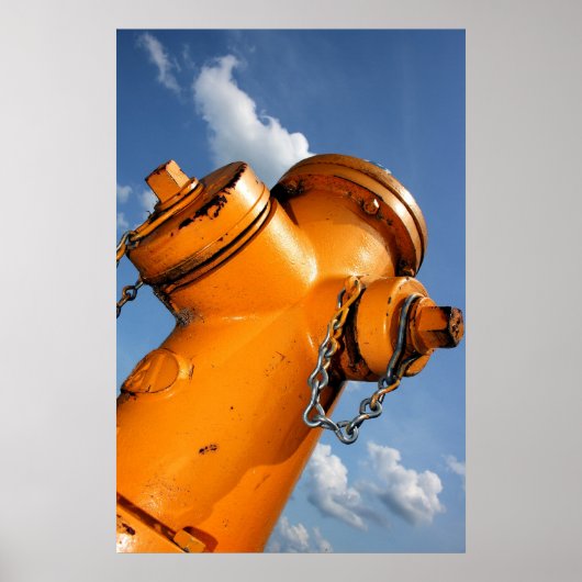 Een perspectief voor honden poster (Voorkant)