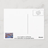 Een peul speelse dolfijnen briefkaart (Achterkant)