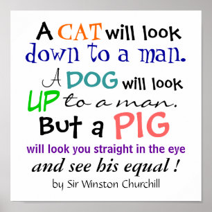 Een PIG-citaat van Sir Winston Churchill Poster