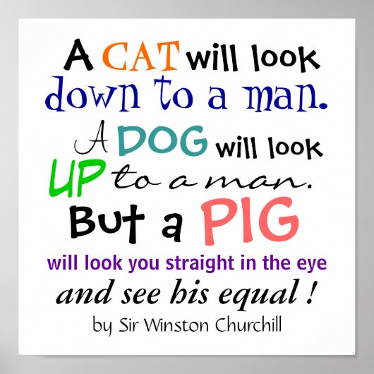 Een PIG-citaat van Sir Winston Churchill Poster (Voorkant)