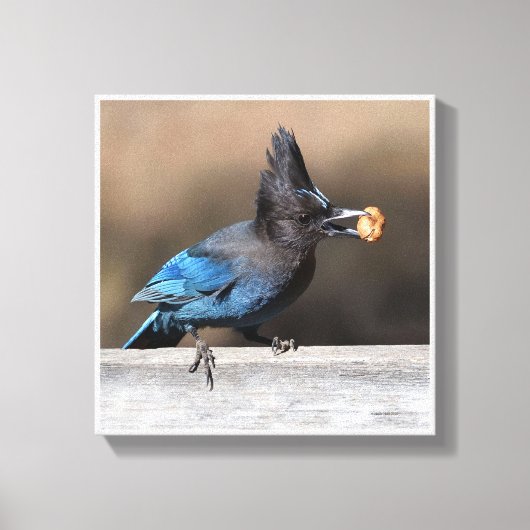 Een pinda gevonden canvas afdruk (Voorkant)