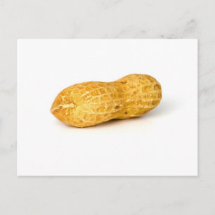 Eén pinda op witte achtergrond briefkaart