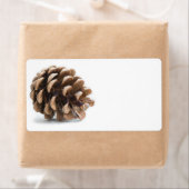 Eén pinecon etiket (Insitu)