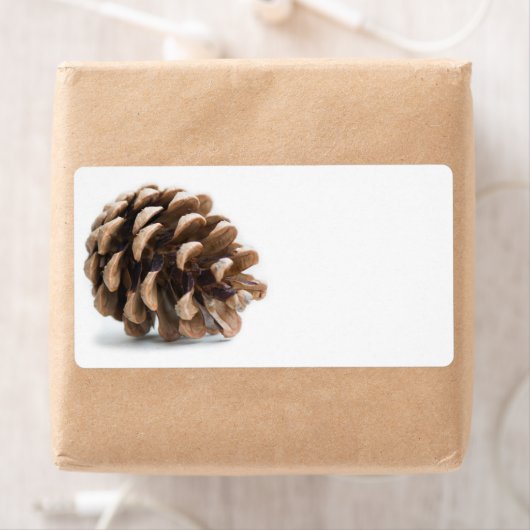 Eén pinecon etiket (Insitu)