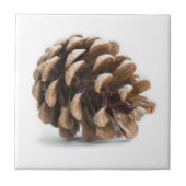 Eén pinecon tegeltje (Voorkant)