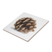 Eén pinecon tegeltje (Zijkant)