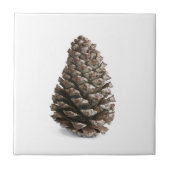 Eén pinecon tegeltje (Voorkant)