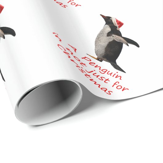 Een pinguïn is niet alleen voor kerstpapier cadeaupapier (Rol Hoek)