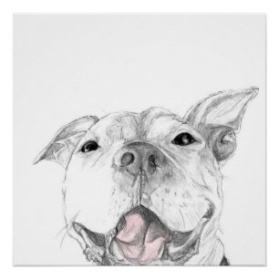 Een Pit Bull Glimlach Perfect Poster