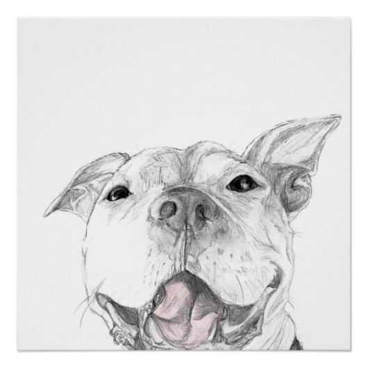Een Pit Bull Glimlach Perfect Poster (Voorkant)
