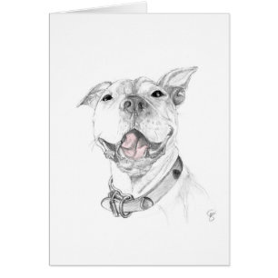 Een Pit Bull Smile