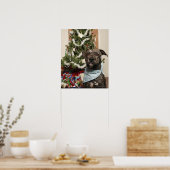 Een pitstier die voor een kerstportret staat. poster (Keuken)