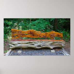 Een plaats om binnen het Poster van het Bossen te 