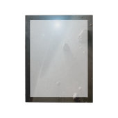 Een planetoïdengordel rond de heldere ster Vega. Notitieblok (Linkerzijde)