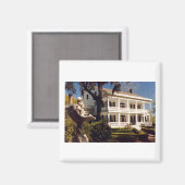 een plant op de Mississippi Magneet (Voorkant / Achterkant)