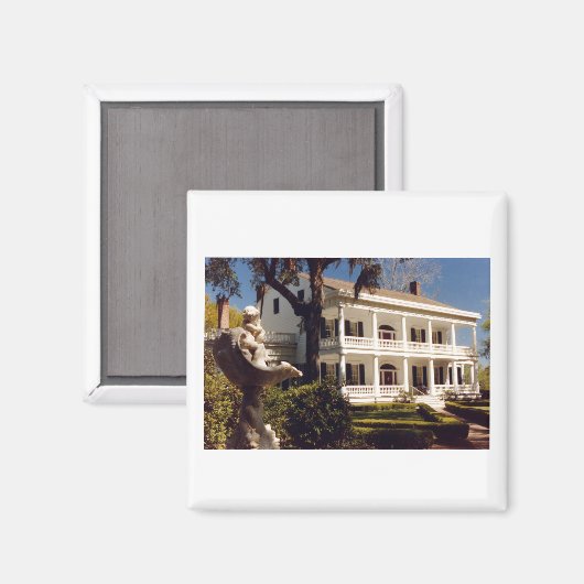 een plant op de Mississippi Magneet (Voorkant / Achterkant)