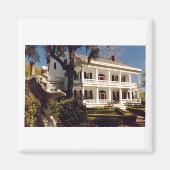 een plant op de Mississippi Magneet (Voorkant)