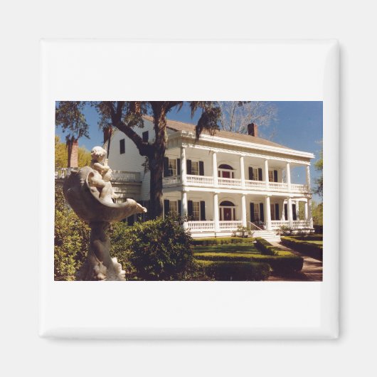 een plant op de Mississippi Magneet (Voorkant)