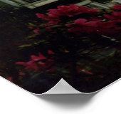 een plant op de Mississippi Poster (Hoek)